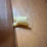 ヒメ日記 2026/10/01 08:31 投稿 あいか 千葉松戸ちゃんこ