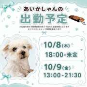 ヒメ日記 2026/10/05 20:27 投稿 あいか 千葉松戸ちゃんこ