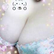 ヒメ日記 2025/12/11 06:19 投稿 すばる 丸妻 新横浜店