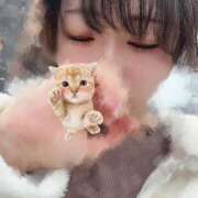 ヒメ日記 2026/03/20 13:41 投稿 るい 横浜人妻花壇本店