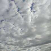 ヒメ日記 2025/12/13 10:20 投稿 かえで マダム錦糸町