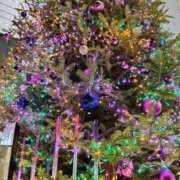 ヒメ日記 2025/12/14 13:30 投稿 かえで マダム錦糸町