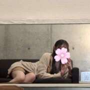 ヒメ日記 2026/01/20 14:02 投稿 白鳥もか AJ DOLLS(エージェイドールズ)