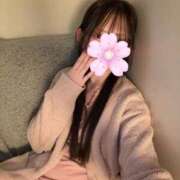 ヒメ日記 2026/02/25 13:22 投稿 白鳥もか AJ DOLLS(エージェイドールズ)