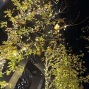 ヒメ日記 2025/12/23 20:24 投稿 結城るみな 五反田はじめてのエステ