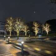 ヒメ日記 2026/01/09 19:10 投稿 結城るみな 五反田はじめてのエステ