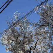 ヒメ日記 2026/04/02 20:19 投稿 結城るみな 五反田はじめてのエステ