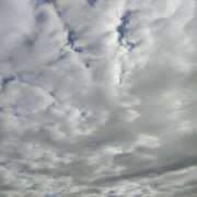 ヒメ日記 2025/12/13 10:10 投稿 かえで マダム西船橋