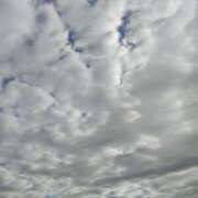 ヒメ日記 2025/12/13 10:20 投稿 かえで マダム西船橋