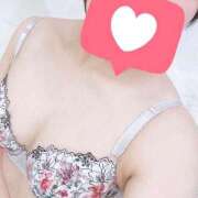 ハリセンボン ハリセンボンの取り扱い🐡 女の子市場