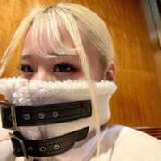 ヒメ日記 2025/12/14 20:33 投稿 ピョン※現役看護学生♪ きらめけ！にゃんにゃん学園in大宮