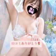 ヒメ日記 2025/12/16 05:54 投稿 四宮　せいか 現役OL派遣します