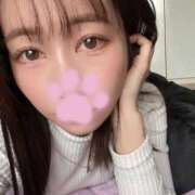 ヒメ日記 2025/12/13 15:51 投稿 島波　のどか 渋谷ベリー