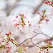 ヒメ日記 2026/03/27 12:11 投稿 新人・明里(あかり) グランドオペラ東京