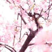 ヒメ日記 2026/03/28 00:40 投稿 新人・明里(あかり) グランドオペラ東京