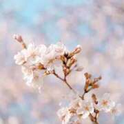 新人・明里(あかり) 本指名K様♡4/4ご予約ありがとうございます🌷 グランドオペラ東京