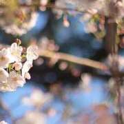 新人・明里(あかり) 本指名Kさま♡4/8ご予約ありがとうございます🌷 グランドオペラ東京