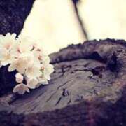 新人・明里(あかり) 本指名K様♡4/6ご予約ありがとうございます🌷 グランドオペラ東京