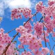 ヒメ日記 2026/04/02 14:56 投稿 新人・汐音(しおん) グランドオペラ東京