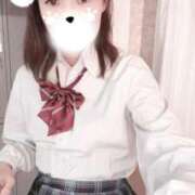 よもぎ 🧡忠犬よもぎ プレミアム(福原)