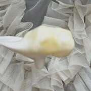 せいこ ※無題 アート姫