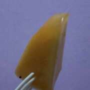 ヒメ日記 2026/01/19 17:00 投稿 せいこ アート姫