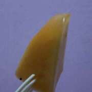 ヒメ日記 2026/01/19 17:19 投稿 せいこ アート姫