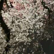 ヒメ日記 2026/03/27 20:07 投稿 さやか BABY LIPS