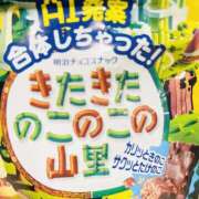 ヒメ日記 2026/04/21 20:10 投稿 さやか BABY LIPS