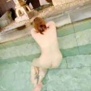 ヒメ日記 2026/02/21 11:52 投稿 しずか 奴隷コレクション梅田店