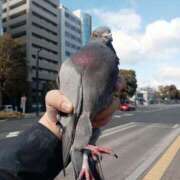 ヒメ日記 2026/02/09 13:29 投稿 バカラ 加古川10,000円ポッキー