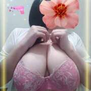 ヒメ日記 2026/02/27 17:16 投稿 バカラ 加古川10,000円ポッキー