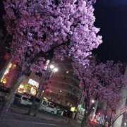 ヒメ日記 2026/03/25 23:34 投稿 そう 千葉サンキュー