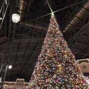 まや お知らせ💖 Seirenes (セイレネス)