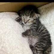 ヒメ日記 2025/12/16 11:29 投稿 らいか サンキュー福岡店