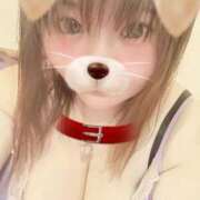 ヒメ日記 2025/12/19 21:10 投稿 らいか サンキュー福岡店