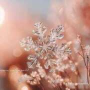 ヒメ日記 2026/01/12 10:12 投稿 沙夜-さや- 人妻倶楽部 花椿北上店