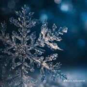 ヒメ日記 2026/01/12 10:20 投稿 沙夜-さや- 人妻倶楽部 花椿北上店