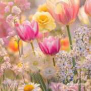 ヒメ日記 2026/03/29 17:52 投稿 沙夜-さや- 人妻倶楽部 花椿北上店