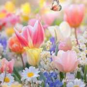 ヒメ日記 2026/03/29 18:12 投稿 沙夜-さや- 人妻倶楽部 花椿北上店