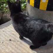 ヒメ日記 2025/12/16 16:33 投稿 手嶋(てしま) 大牟田デリヘル倶楽部