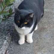 ヒメ日記 2025/12/18 02:52 投稿 手嶋(てしま) 大牟田デリヘル倶楽部