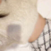 ヒメ日記 2025/12/18 17:22 投稿 ののちゃん プロフィール 京都店