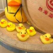 ヒメ日記 2026/01/19 17:24 投稿 こはる ごほうびSPA横浜店