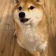 ヒメ日記 2026/01/20 10:04 投稿 こはる ごほうびSPA横浜店