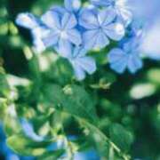 ヒメ日記 2026/02/05 21:04 投稿 こはる ごほうびSPA横浜店