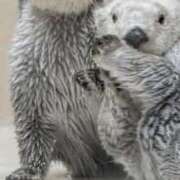 ヒメ日記 2026/02/10 10:14 投稿 こはる ごほうびSPA横浜店