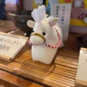 ヒメ日記 2026/03/12 22:27 投稿 こはる ごほうびSPA横浜店