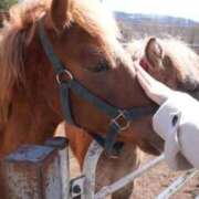 ヒメ日記 2026/03/15 12:24 投稿 こはる ごほうびSPA横浜店