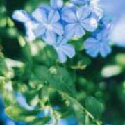 ヒメ日記 2026/03/18 21:34 投稿 こはる ごほうびSPA横浜店